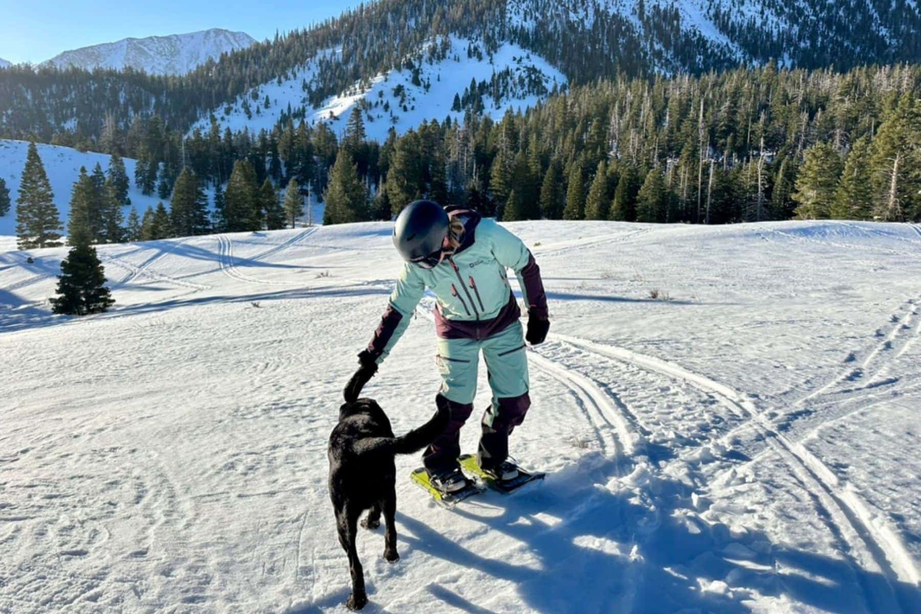 Jack Wolfskin Alpspitze 3L Ski Pants | Reviewed in 2024